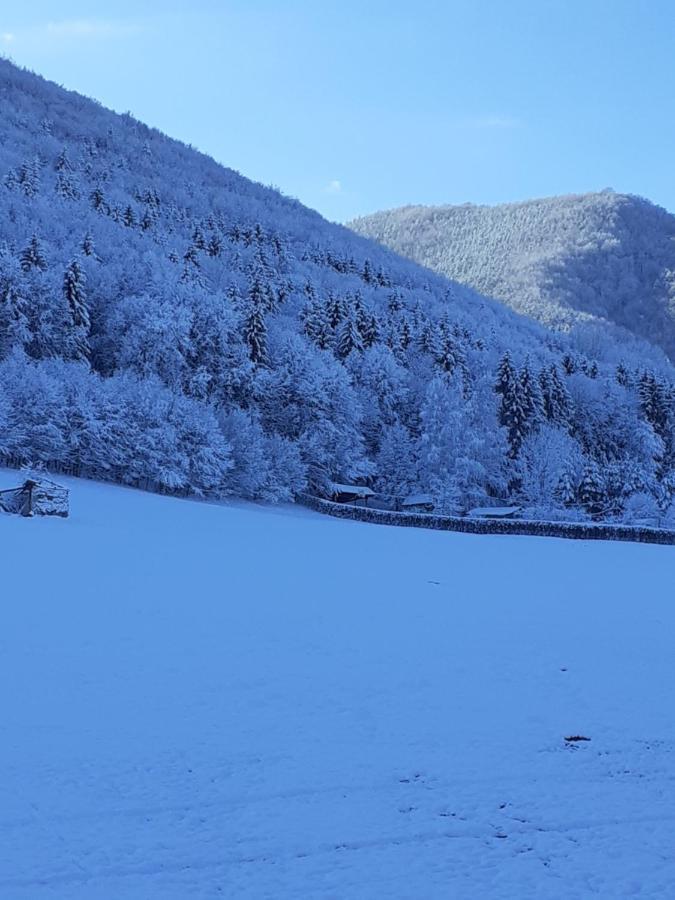 Pensiunea Natura Sadu Σίμπιου Εξωτερικό φωτογραφία