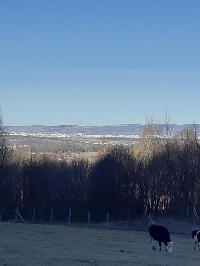 Pensiunea Natura Sadu Σίμπιου Εξωτερικό φωτογραφία