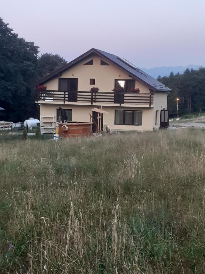 Pensiunea Natura Sadu Σίμπιου Εξωτερικό φωτογραφία