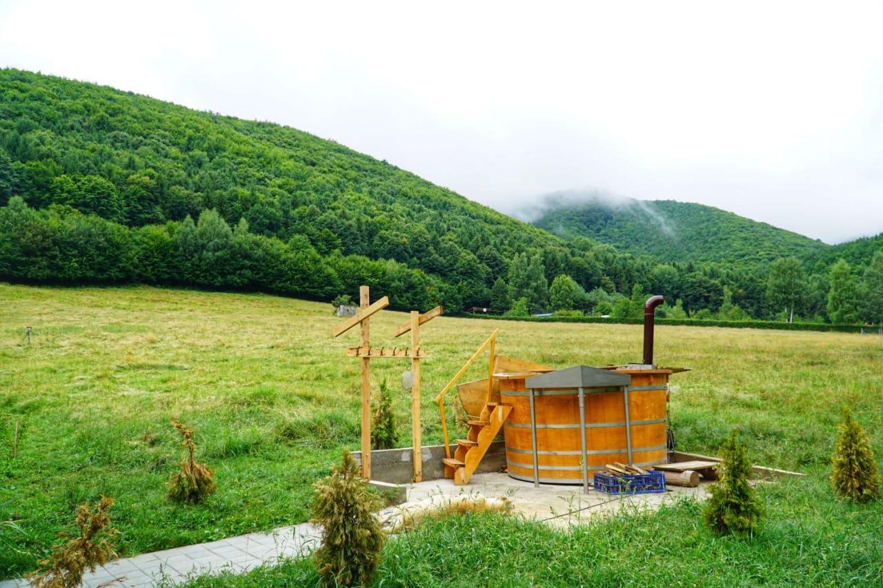Pensiunea Natura Sadu Σίμπιου Εξωτερικό φωτογραφία