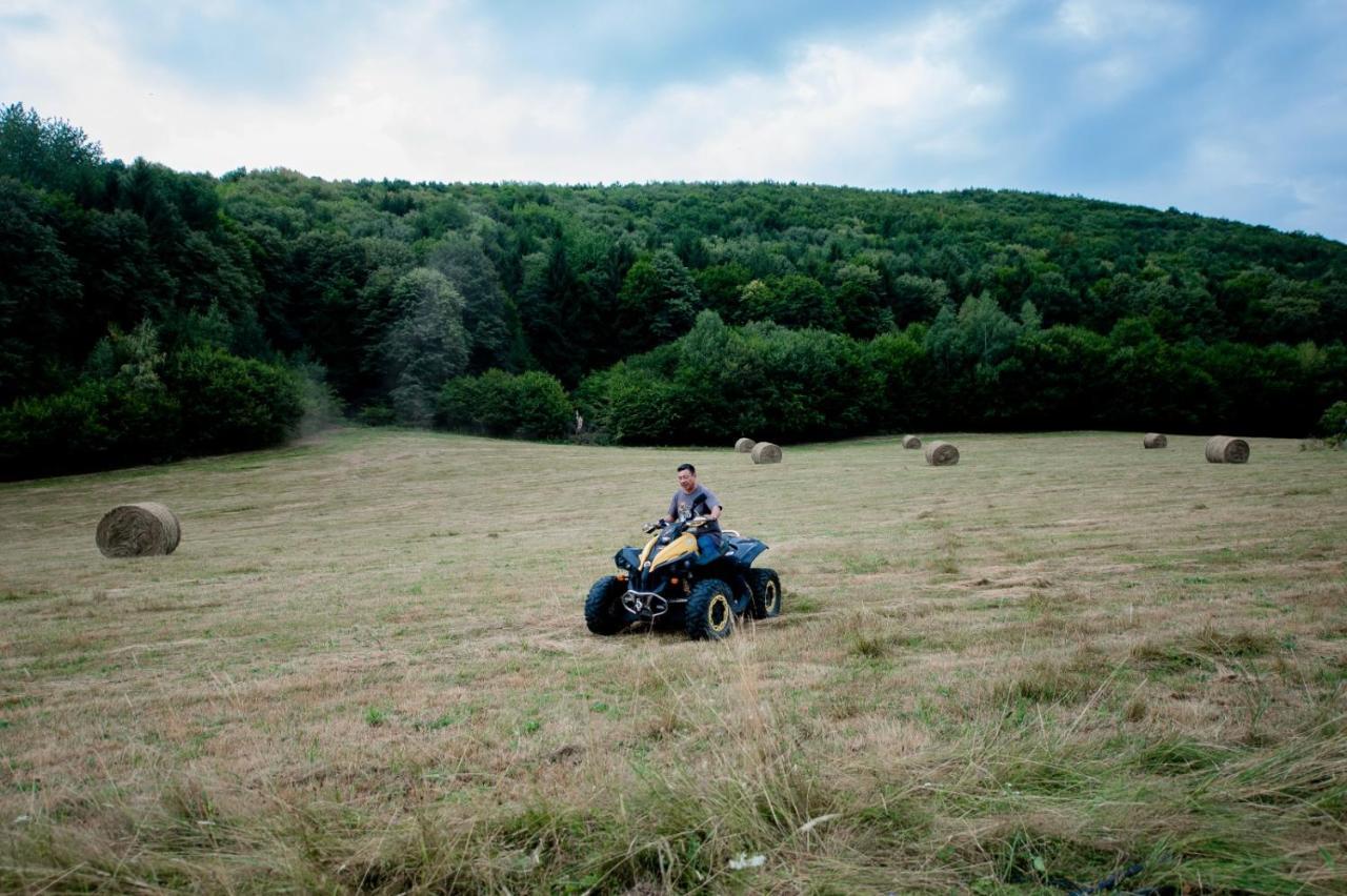 Pensiunea Natura Sadu Σίμπιου Εξωτερικό φωτογραφία
